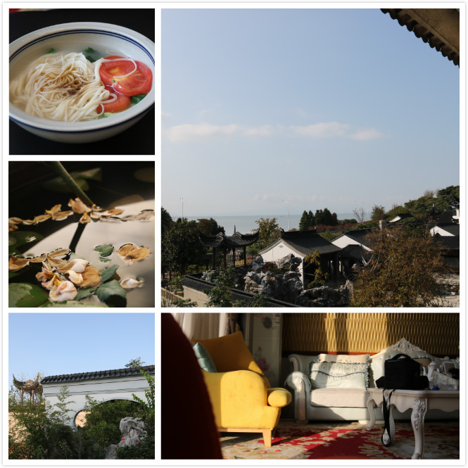 1604307155728442.jpg IMG_1137_meitu_8.jpg